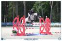 Merrie Franse rijpony PFS Te koop 2016 Schimmel