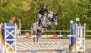 Merrie Franse rijpony PFS Te koop 2016 Schimmel