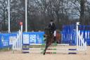 Merrie Ras onbekend Te koop 2012 Bruin / Bai