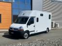 Kleine paardenvrachtwagen (B rijbewijs) Theault MASTER THEAULT 5 PLACES 2009 Tweedehands
