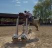 Ruin Andere pony rassen Te koop 2019 Appaloosa