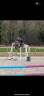 Ruin Franse rijpony PFS Te koop 2019 Schimmel