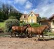 Mooi hippisch vastgoed Koop Haute-Saône