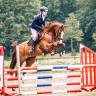 Speciale vosmerrie springpaard
