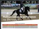 Dekhengst Franse rijpony PFS Te koop 2020 Zwart ,  UNDER COVER FAST