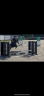Ruin Andere pony rassen Te koop 2021 Schimmel