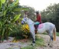 Merrie Lusitano Te koop 2018 Schimmel