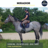Ruin Volbloed Te koop 2021 Schimmel ,  Almanzor