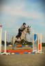 Braaf Allrounder te koop 