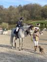 Merrie Bekend ras Te koop 2015 Schimmel