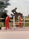 Merrie Franse rijpony PFS Te koop 2018 Donker bruin / bai ,  Vidam sand psf