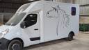 Kleine paardenvrachtwagen (B rijbewijs) Cavalcar Opel Movano 2020 Tweedehands