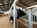 Eigenaren stal Koop Charente-Maritime