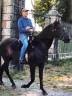 Ruin Lusitano Te koop 2007 Zwart ,  VALSEUR RBO