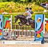 Merrie Welsh Pony (Section A) Te koop 2019 Zwart ,  PERLHOF GABLE 