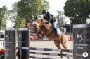 GOLBURY DES BERTAINES - Welsh Pony (Section B) 2016 ,  VINCE DIWAN