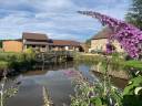 Mooi hippisch vastgoed Koop Haute-Saône