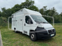 Kleine paardenvrachtwagen (B rijbewijs) AP Petit  2014 Tweedehands