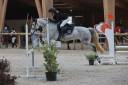 Merrie Franse rijpony PFS Delen 2013 Schimmel