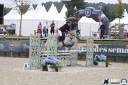 Merrie Franse rijpony PFS Te koop 2019 Schimmel ,  ARON N