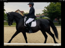 Ruin PRE Puur Ras Spaans Te koop 2014 Zwart ,  FRESCACHON II
