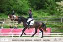 Hengst Lusitano Te koop 2021 Schimmel