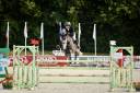 Merrie Selle Français Te koop 2019 Schimmel ,  Cicave du talus