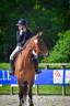 Merrie Selle Français Te koop 2013 Donker bruin / bai ,  OGRION DES CHAMPS