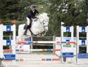 Dekhengst Connemara Te koop 2015 Schimmel ,  DEXTER LEAM PONDY