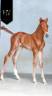 Veulen (ml) KWPN Nederlands sportpaard Te koop 2025 Vos ,  Perfect Silver Legend