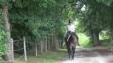 Merrie Quarter Horse Te koop 2020 Muisgrijs ,  JAZ GC DE PLATA
