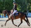 Merrie Franse rijpony PFS Te koop 2009 Bruin / Bai ,  QUINOTO BOIS MARGOT