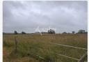 Landbouw bedrijf Koop Loire-Atlantique
