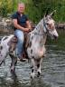 Ruin Ras onbekend Te koop 2018 Appaloosa