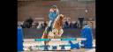 Ruin Shetland Te koop 2012 Bont