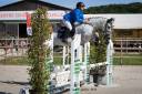 Merrie Selle Français Te koop 2018 Schimmel ,  Donatello du Bailly – SF
