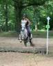 Ruin Camargue Te koop 2022 Schimmel