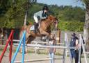 Ruin Franse rijpony PFS Te koop 2013 Koffie vos ,  Créole D'Angrie