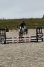 Merrie Andere pony rassen Te koop 2019 Schimmel