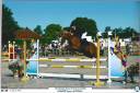 Merrie Welsh Pony (Section B) Te leen 2015 Vos ,  IRAM D' AUDES WB