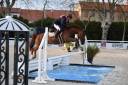 Ruin Franse rijpony PFS Te koop 2019 Vos ,  royal du bourray