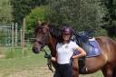 Merrie Selle Français Te koop 2020 Donker bruin / bai ,  dexter du neuhof (oes)