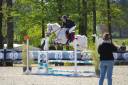 Merrie Bekend ras Te koop 2013 Schimmel