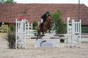 Merrie Franse rijpony PFS Te koop 2018 Vos ,  KAPITOL D'ARGONNE SFA