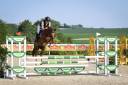 Ruin Franse rijpony PFS Te koop 2021 Vos ,  ELDORADO D'ELLE, SF