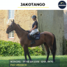 Ruin Franse draver  Te koop 2019 Donker bruin / bai ,  ubriaco