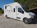 Kleine paardenvrachtwagen (B rijbewijs) Cavalcar opel movano 2020 Tweedehands