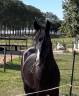 Looking for a new challenge? Meet handsome Jack?