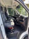 Kleine paardenvrachtwagen (B rijbewijs) Andere merken MSG Light 2020 Tweedehands
