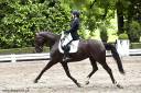 Merrie Lusitano Te koop 2016 Zwart